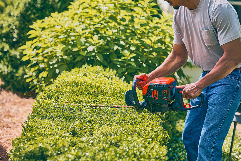 Hedge Trimmer