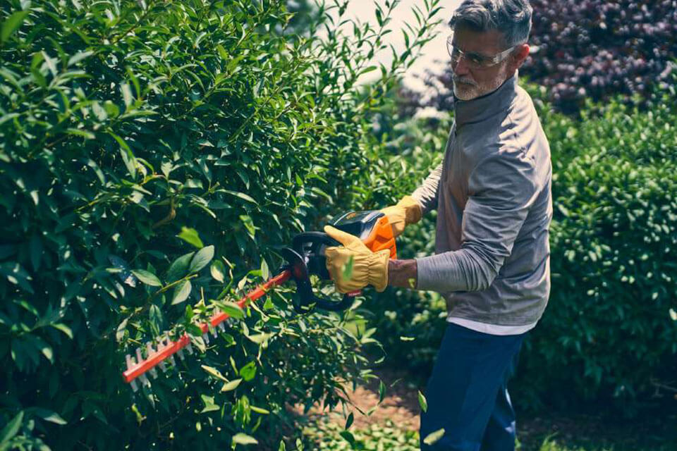 Hedge Trimmer