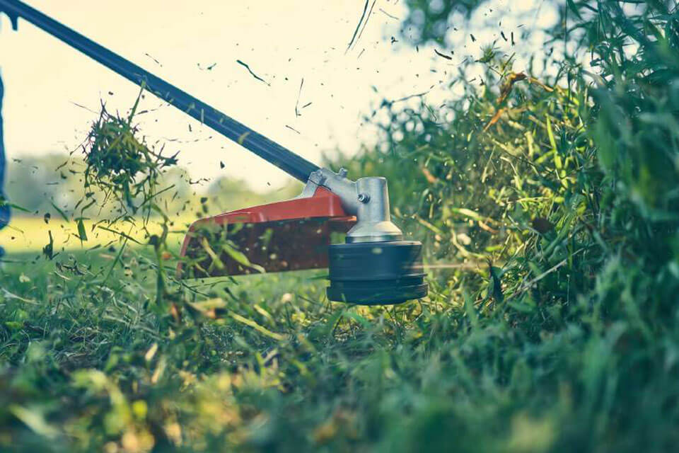 String Trimmer